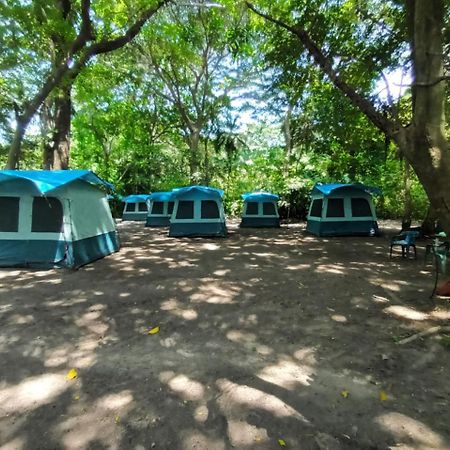 Happy Camping Arrecifes Dentro Del Parque Nacional Natural Tayrona El Coquito Eksteriør bilde