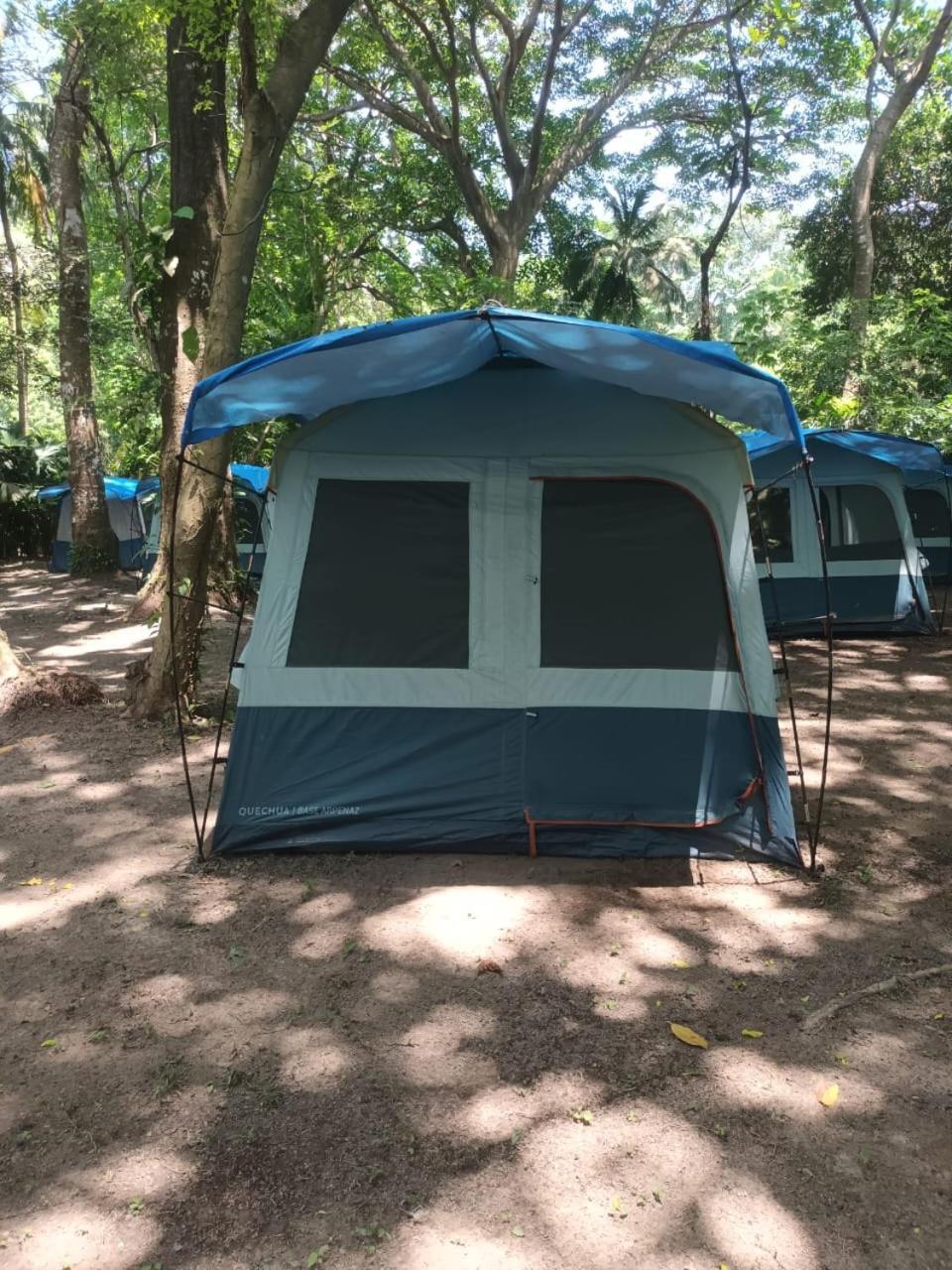Happy Camping Arrecifes Dentro Del Parque Nacional Natural Tayrona El Coquito Eksteriør bilde