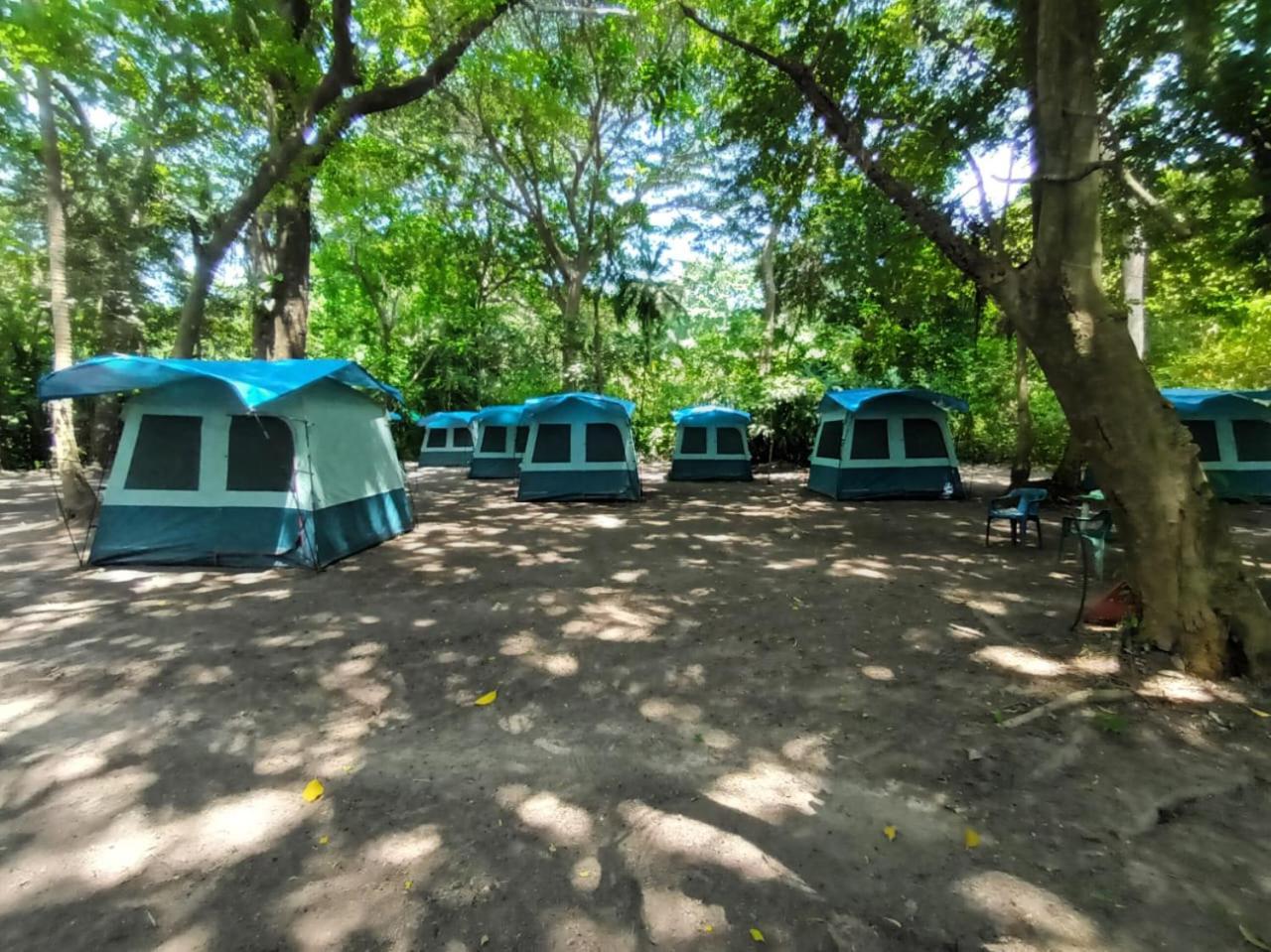 Happy Camping Arrecifes Dentro Del Parque Nacional Natural Tayrona El Coquito Eksteriør bilde