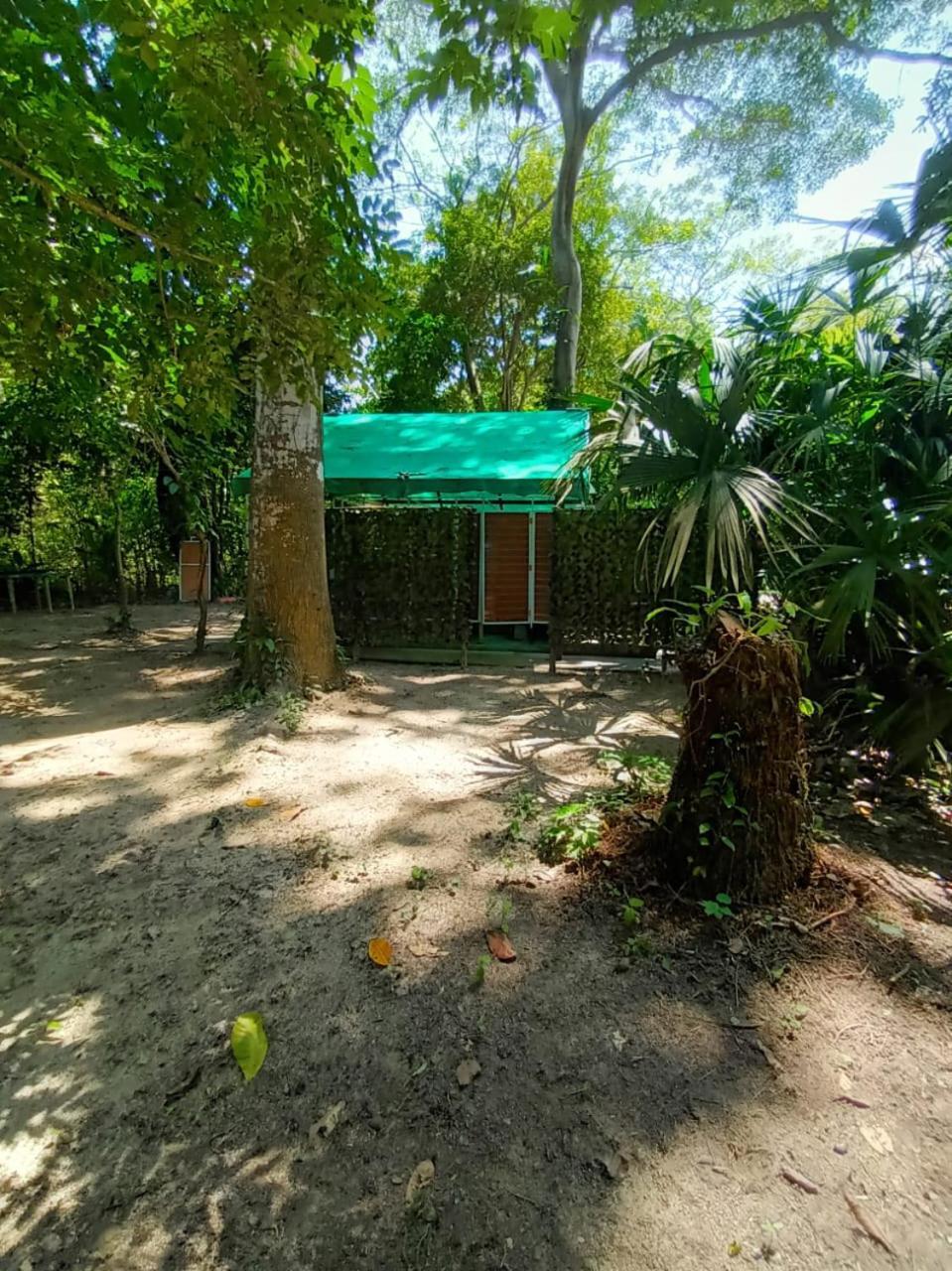 Happy Camping Arrecifes Dentro Del Parque Nacional Natural Tayrona El Coquito Eksteriør bilde